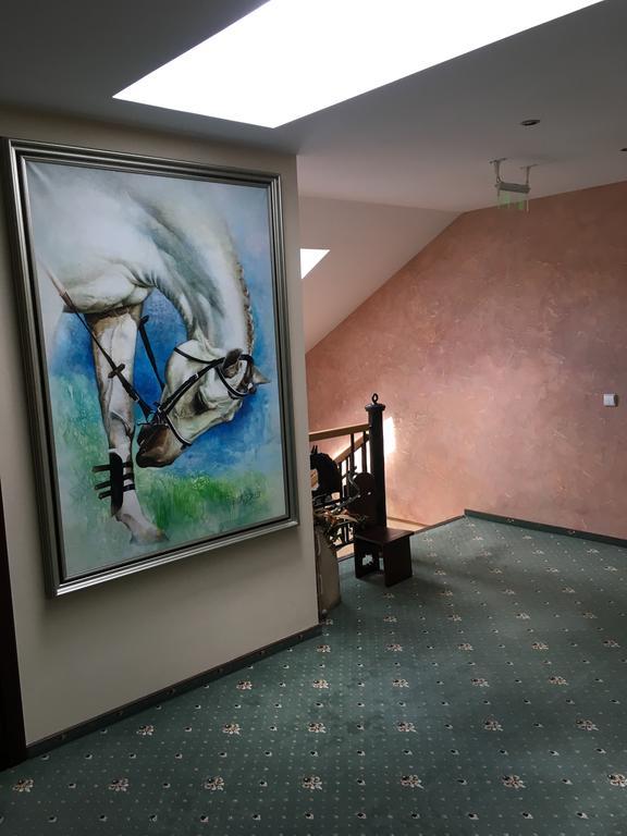 Villa Audruvis Joniskis  Luaran gambar